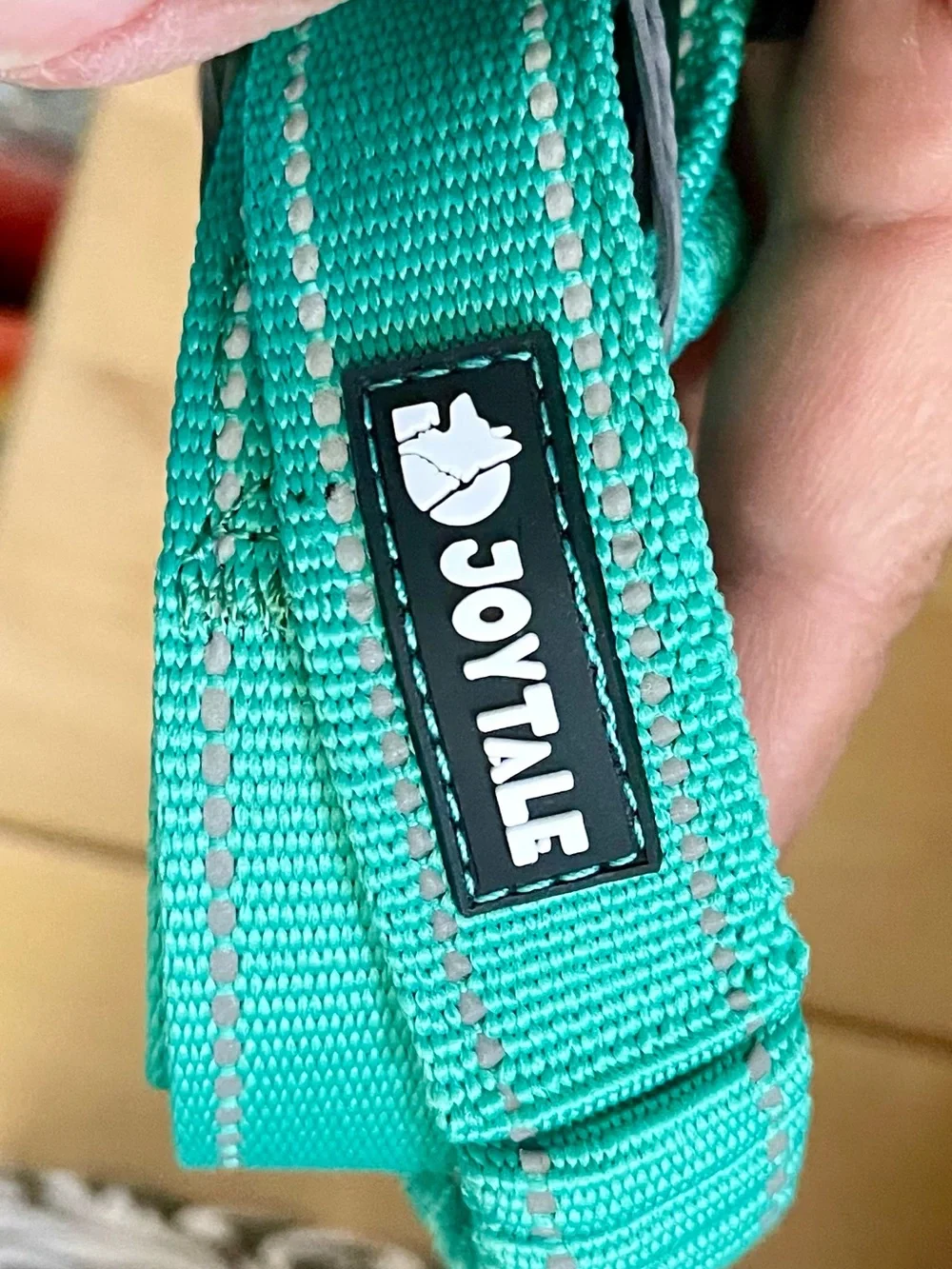 JoyTale No Pull Turquoise Braided Dog Leash with Metal Clip NEW